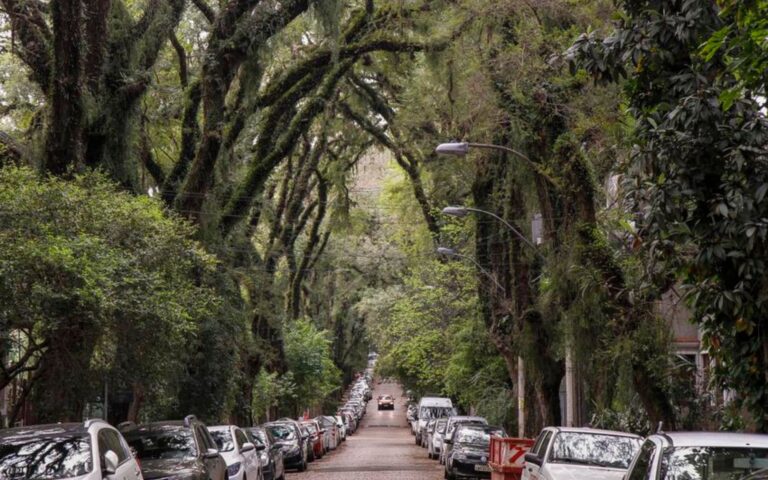 Rua no Brasil supera destinos famosos e vira a mais bonita do mundo