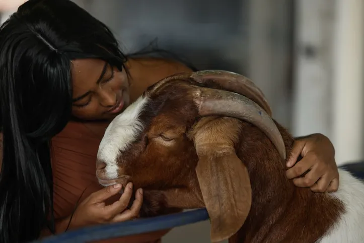 Imagem ilustrativa da imagem Fenagro revela novos “bichos influencers” que roubam a cena e os cliques