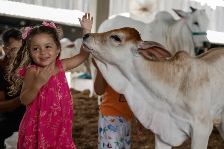 Imagem ilustrativa da imagem Fenagro revela novos “bichos influencers” que roubam a cena e os cliques