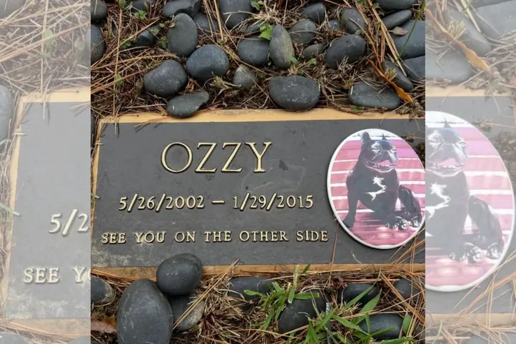 Ozzy deixou a família em 2015