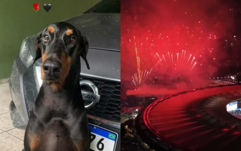 Cachorro de cantor morre durante final da Libertadores: “Ação irresponsável”