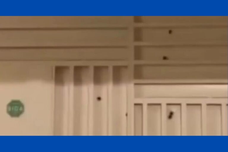 Casa de subtenente da PM é alvo de ataque a tiros no interior da Bahia