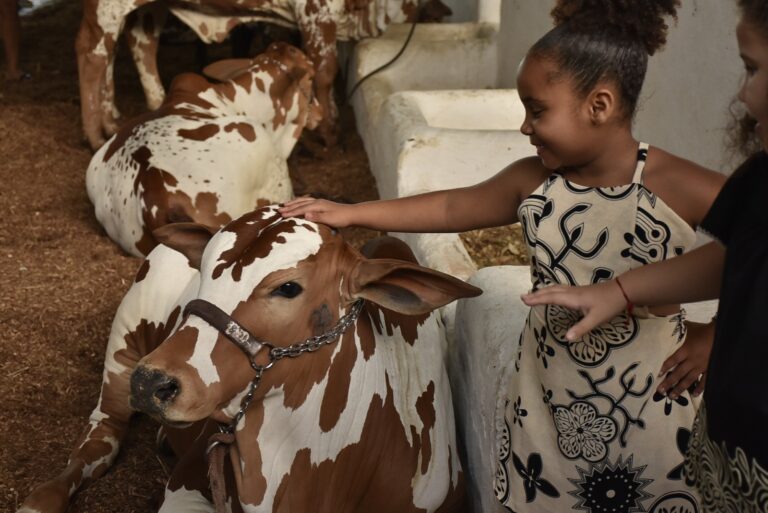 Corre que dá tempo! Fenagro 2025 tem último dia de gratuidade nesta quarta
