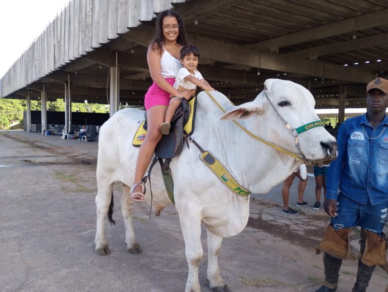 Crianças amam! Montaria em boi adestrado é destaque na Fenagro