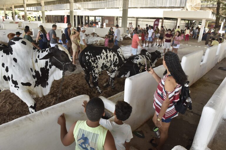 O que acontece depois que a Fenagro acaba? Saiba como animais voltam para casa