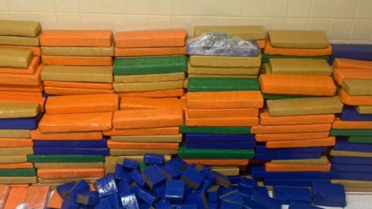 Polícia apreende quase 1 tonelada de maconha em Simões Filho