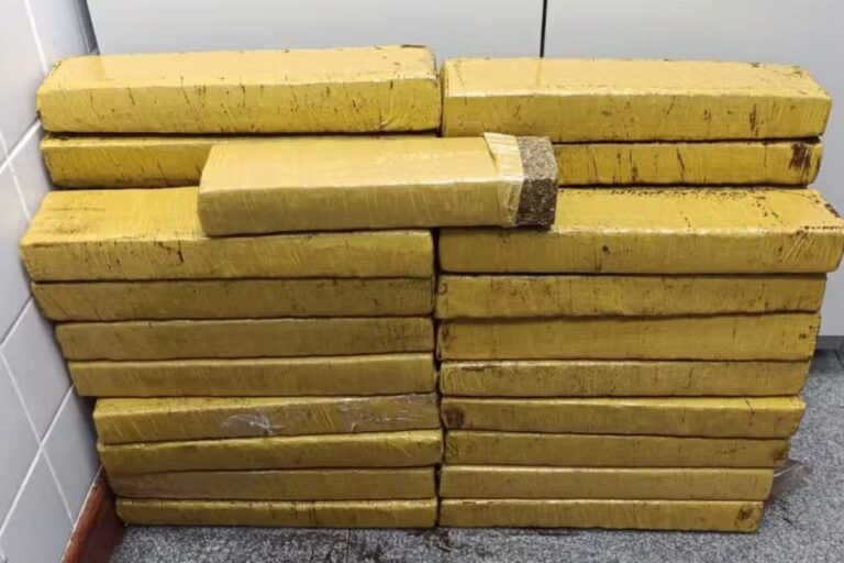 Polícia apreende tabletes de maconha em Feira de Santana