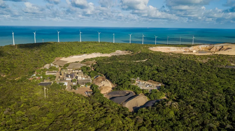 “Recuperar área degradada não é favor”, diz advogada ambiental