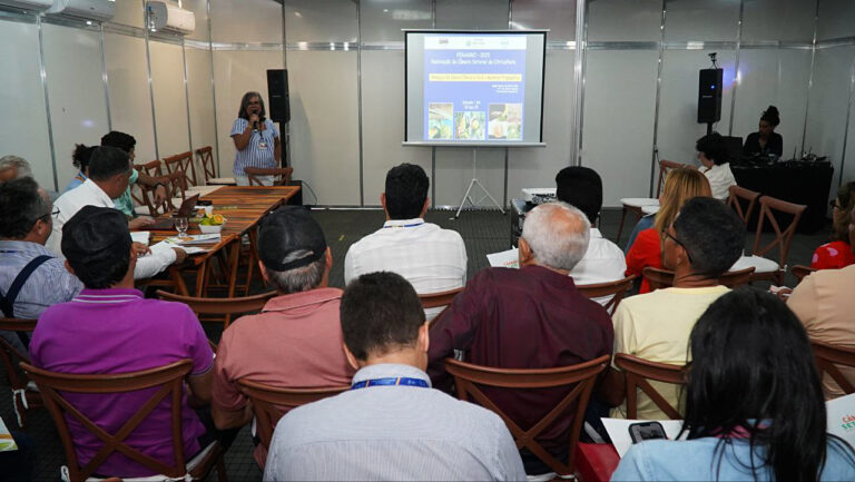 Setores do dendê e citrus pedem ações urgentes para salvar produção