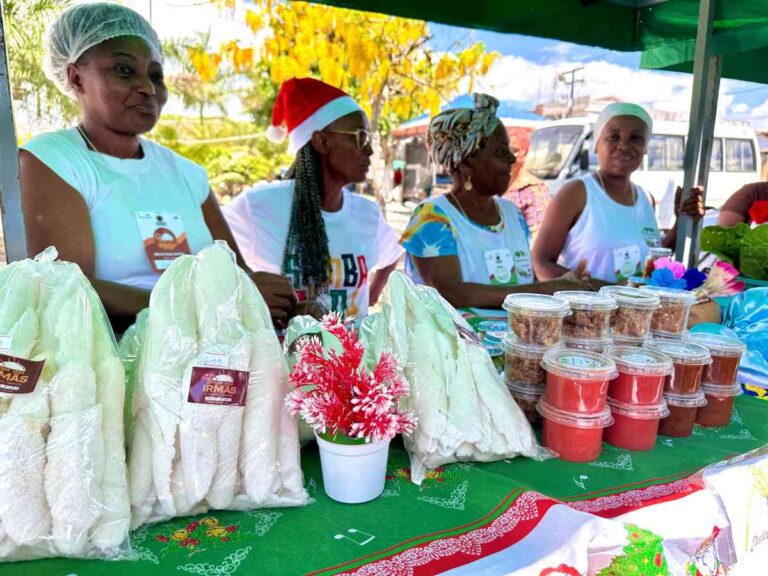 Vila Natalina fortalece e dá visibilidade a mulheres empreendedoras em Antônio Cardoso