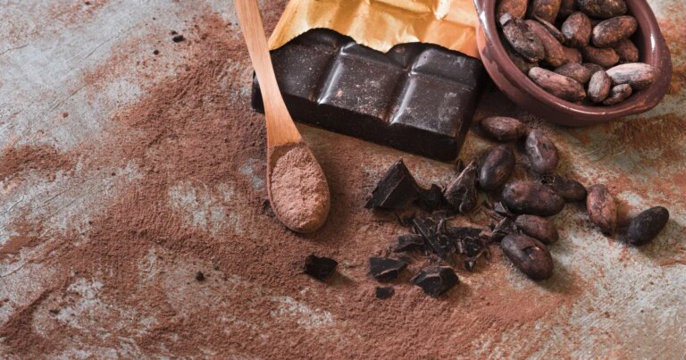 Substâncias do cacau podem ser benéficas à saúde vascular, diz estudo