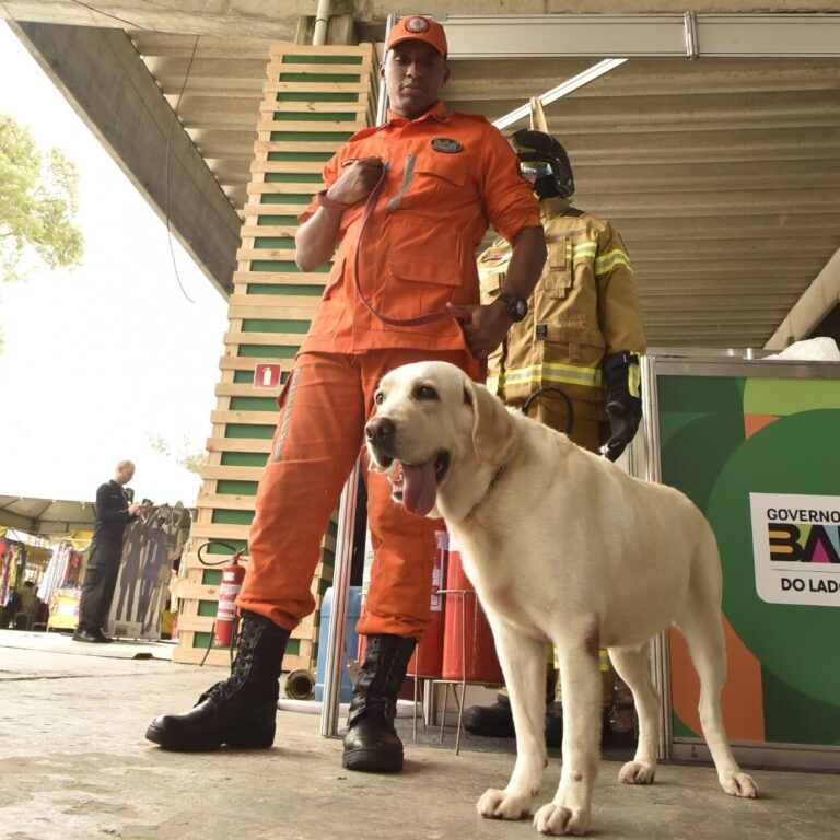 cadela bombeira vira atração na Fenagro