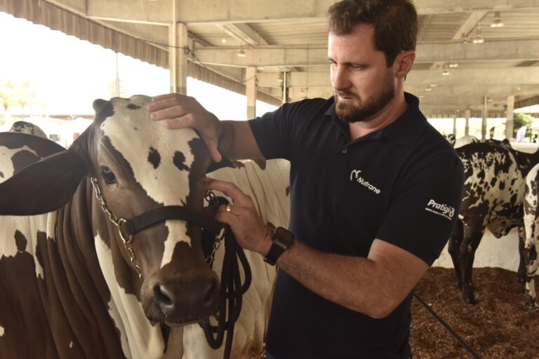 como trabalham os veterinários de animais do campo