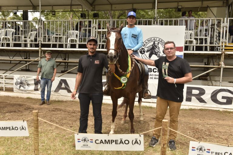 jurados testam marcha e desempenho dos melhores mangalargas do país