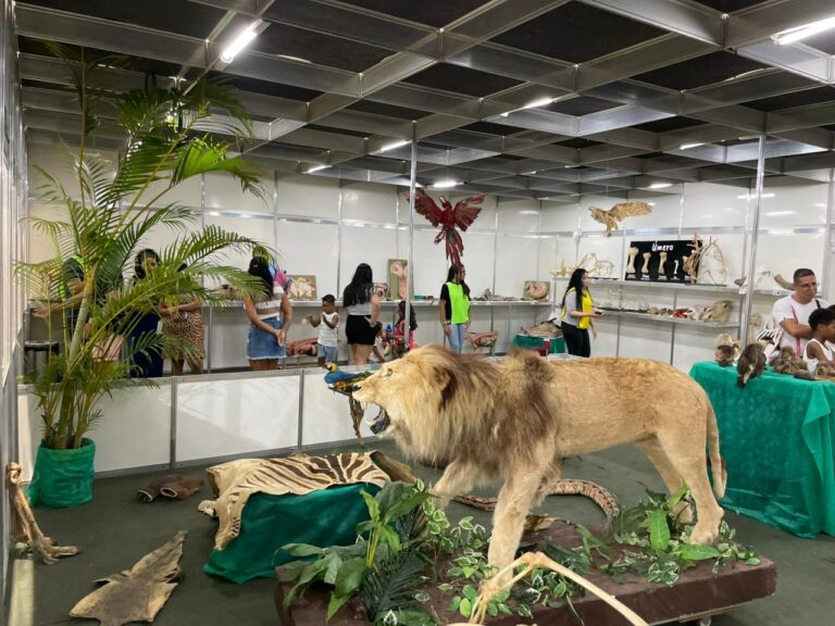 museu mostra como são os animais por dentro