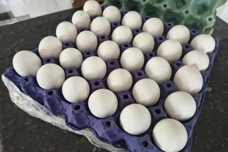 Superprodução derruba preço do ovo e cartela chega a custar R$ 10 no sudoeste baiano – Acorda Cidade