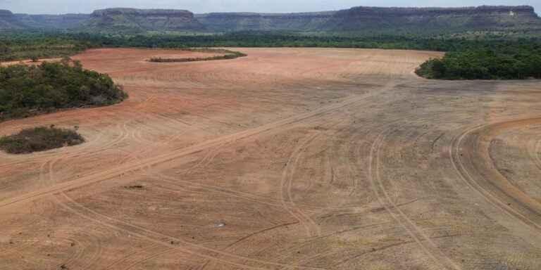 Exportadores de soja deixam acordo sobre desmatamento na Amazônia