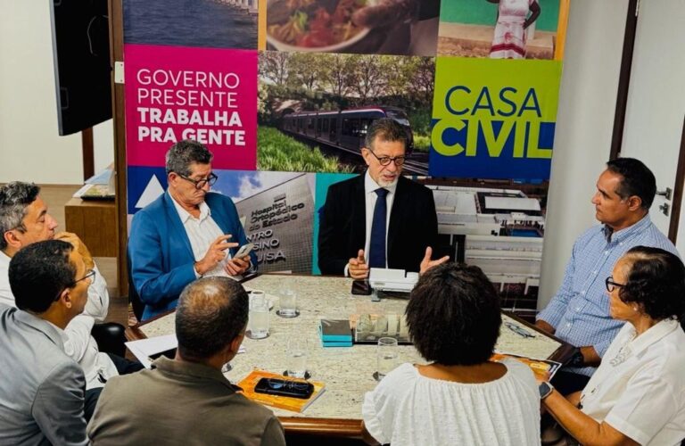 Ara Ketu debate parceria com governo do Estado em reunião