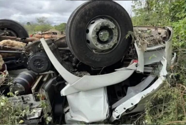 Pai e filho morrem em capotamento de caminhão na BA-130 na Bacia do Jacuípe – Acorda Cidade