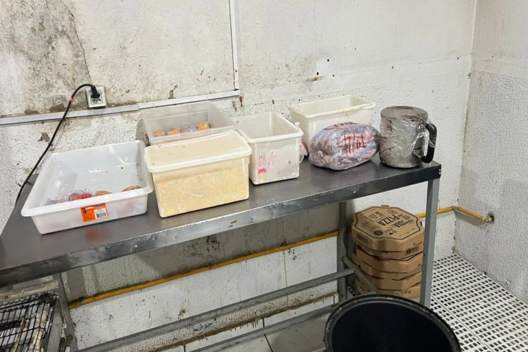 Pizzaria vendia comida estragada e faturava R$ 10 mil por dia