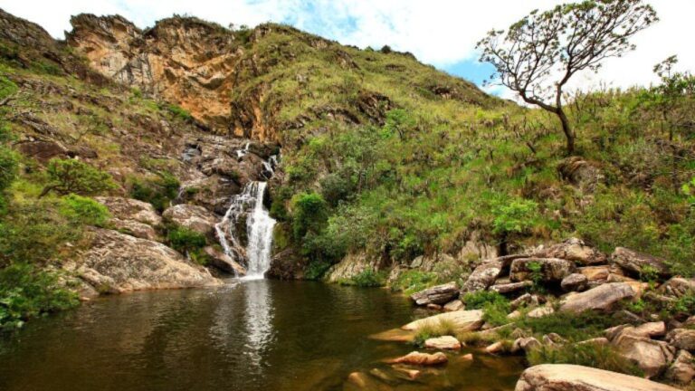 Serra do Cipó abriga espécies de fauna que só existem no Brasil