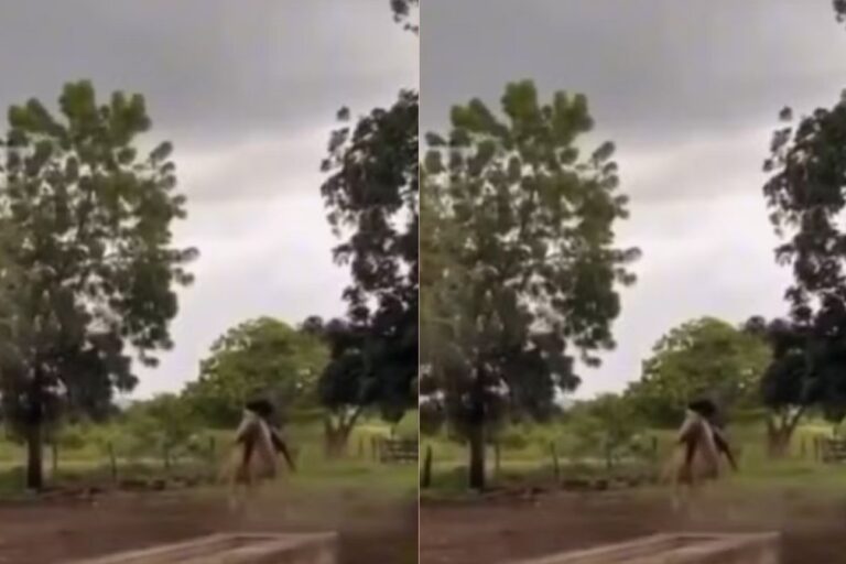 Vídeo: homem e cavalo escapam de serem atingido por raio após o animal recuar