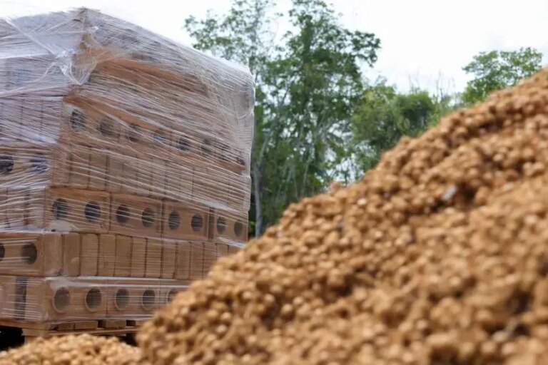 Direcional tem vendas brutas de R$1,5 bi no 4º tri