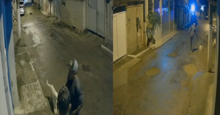 Polícia prende homem que executou cachorro a tiros no Rio