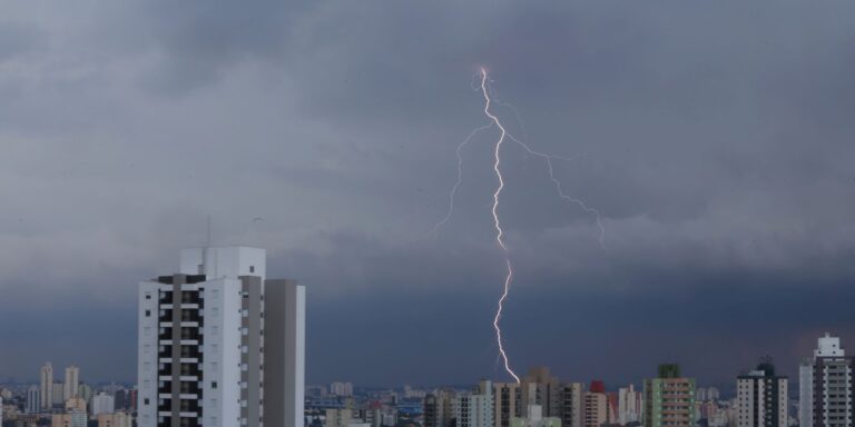 SP registra desabamentos e quedas de árvore por chuva forte