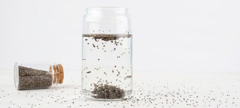 Água de girino emagrece? Entenda a tendência que viralizou no TikTok