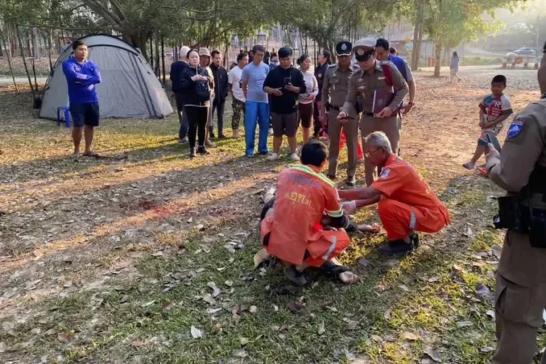 Elefante no cio pisoteia e mata três pessoas em parque na Tailândia