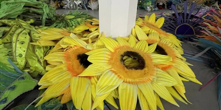 Projeto reaproveita fantasias da Sapucaí para novos foliões