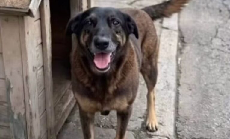 polícia pede internação de adolescente e indicia adultos