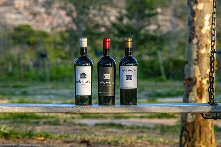 Vinhos da vinícola Santa Maria