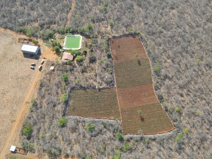 Imagem ilustrativa da imagem Esquema de tráfico entre Bahia e Rio é alvo de megaoperação em seis estados