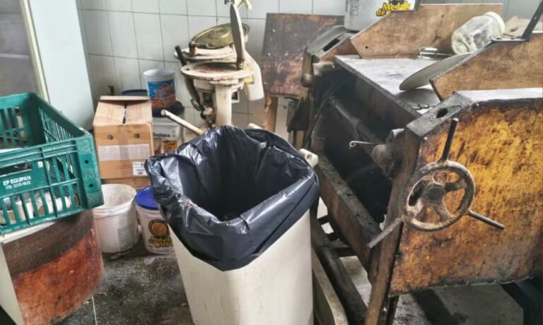 Delicatessen é interditada por apresentar cenário insalubre e risco à saúde