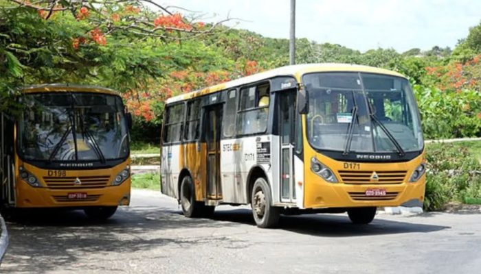 Novas linhas de ônibus passam a circular em Salvador; veja