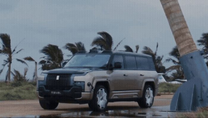 SUV de luxo da BYD resiste à queda de palmeira