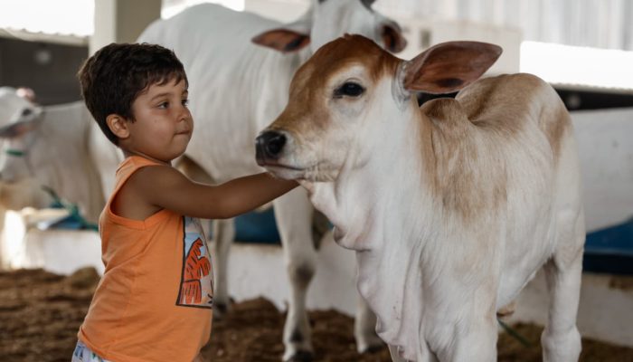 Domingão imperdível! Fenagro fecha edição com shows, animais, aventura e
