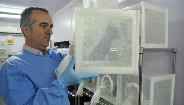 Cientista brasileiro que combate a dengue é destaque mundial em