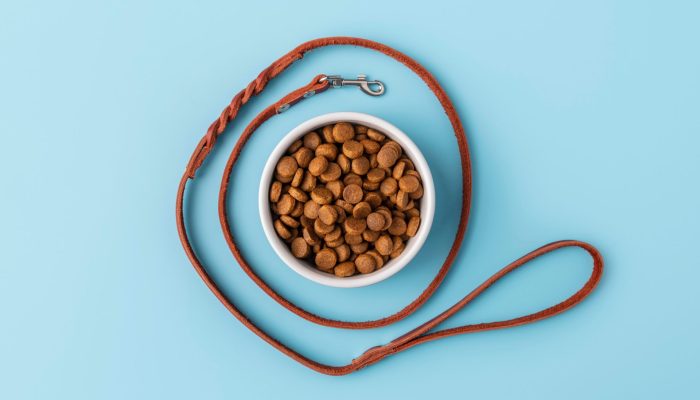 Passeio com cães invisíveis vira tendência; entenda