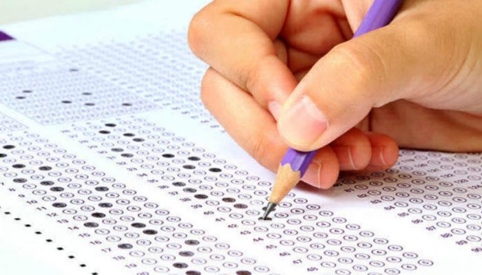 Ibama e Incra abrem edital com salários de até R$