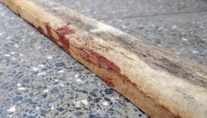 Nova Richthofen? Menina de 14 anos mata a mãe a