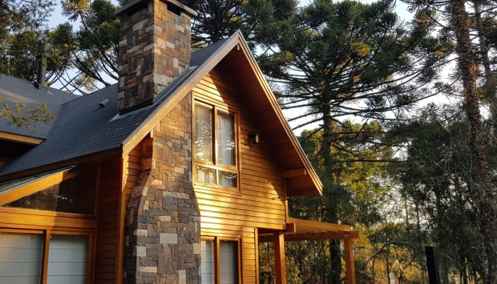 Araucária ganha protagonismo em projetos arquitetônicos