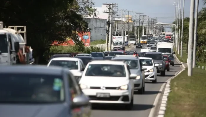 Bom condutor pode renovar a CNH de graça; entenda como