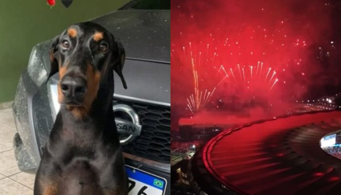 Cachorro de cantor morre durante final da Libertadores: “Ação irresponsável"