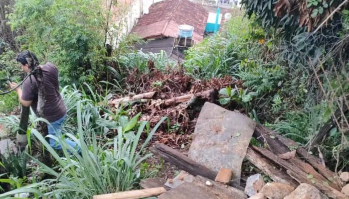Casa desaba e 10 pessoas ficam desalojadas com chuva na