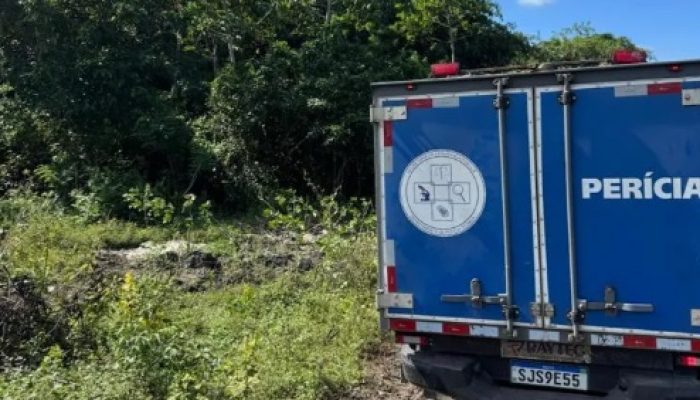 Corpo com mãos amarradas é localizado às margens da BR-324