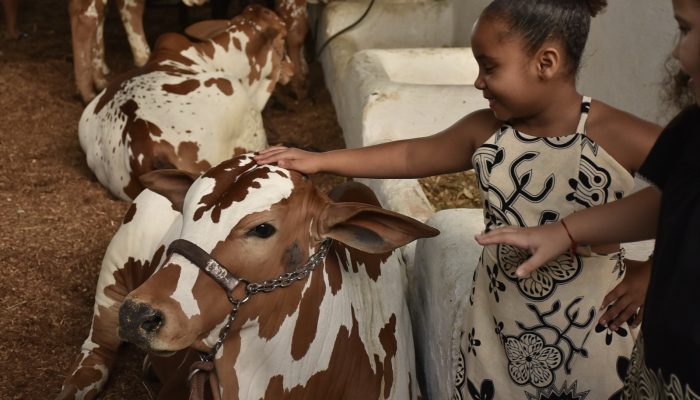 Corre que dá tempo! Fenagro 2025 tem último dia de