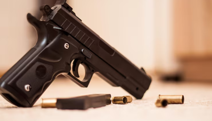 Deputado propõe porte de arma para profissionais de TI